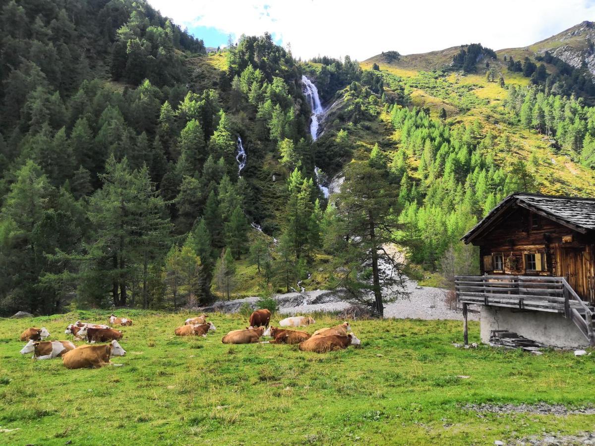 大格洛克纳山scol运动酒店 Kals-am Großglockner 外观 照片