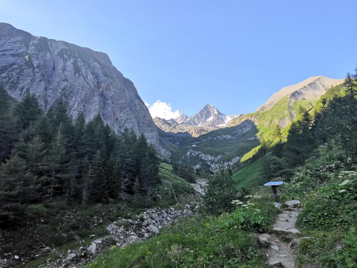 大格洛克纳山scol运动酒店 Kals-am Großglockner 外观 照片