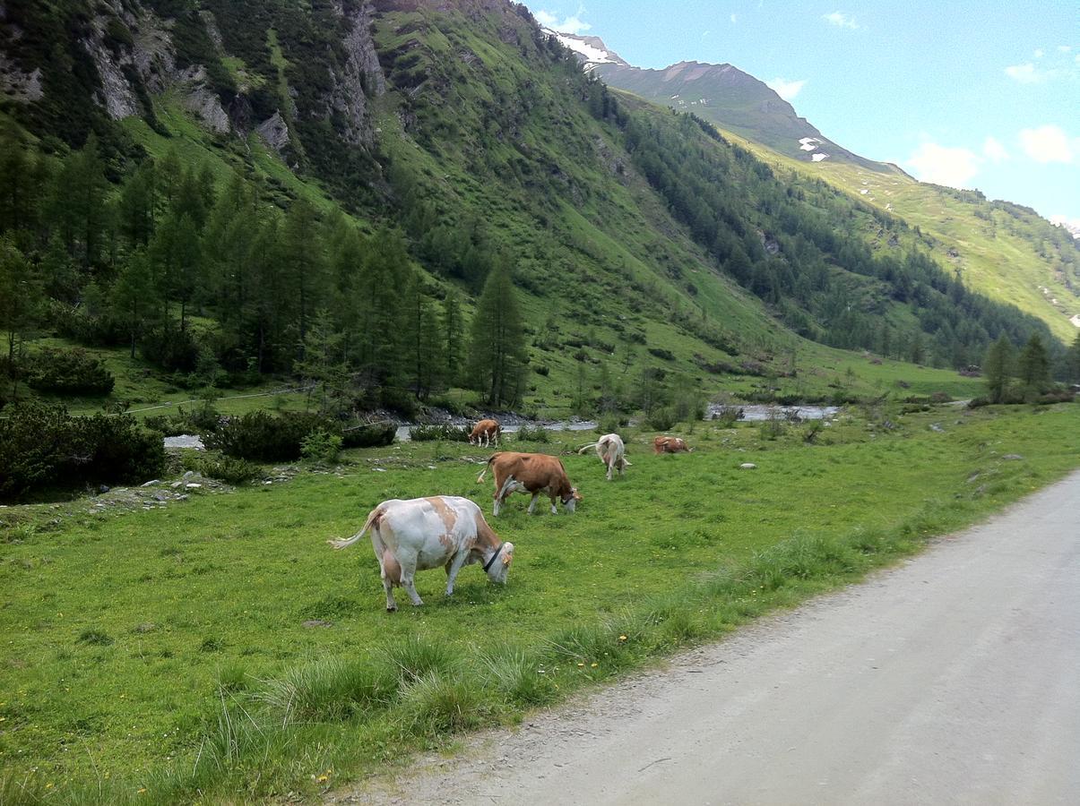 大格洛克纳山scol运动酒店 Kals-am Großglockner 外观 照片